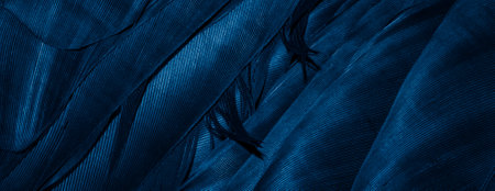 blue feathers with visible details, background or textureの写真素材