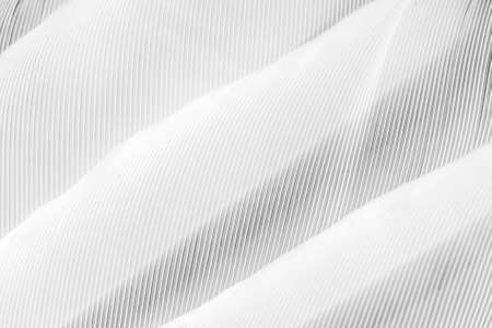 white feathers macro photo. background or textureの写真素材