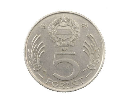 Hungary five forint coin on a white isolated backgroundの写真素材