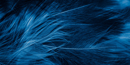 blue feathers with visible details. background or texturaの写真素材