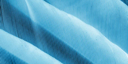macro photo of blue hen feathers. background or texturaの写真素材