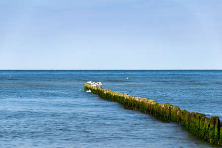 blue sea against the backdrop of a nice sky on a sunny dayの写真素材