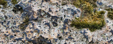 light limestone with interesting texture visible. background