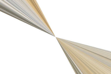 brown and black lines on a white background