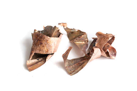 copper shavings on a white isolated backgroundの写真素材