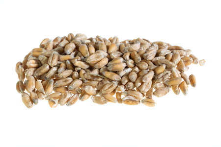 wheat grains on a white isolated backgroundの写真素材