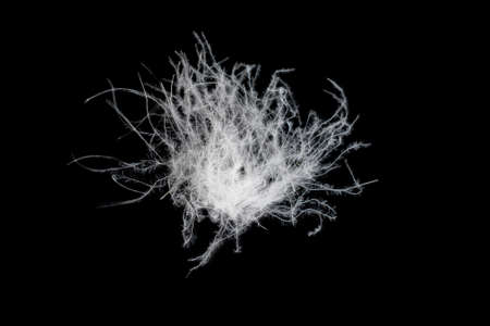 white feather of a goose on a black backgroundの写真素材