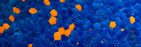 blue and orange with visible details