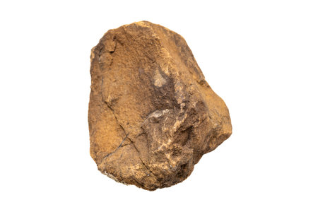 brown stone on a white isolated backgroundの写真素材