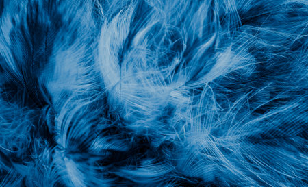 blue feathers of the owl with visible detailsの写真素材