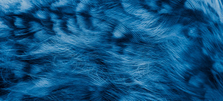 blue feathers of the owl with visible detailsの写真素材