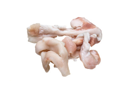pieces of animal fat with meat on a white isolated backgroundの写真素材