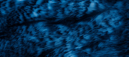 blue feathers of the owl with visible details