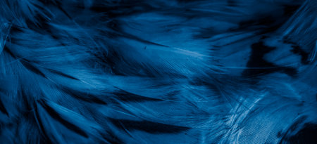blue feathers of the owl with visible detailsの写真素材