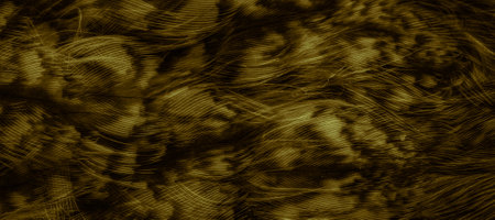 gold feathers of the owl with visible detailsの写真素材