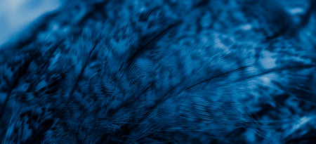 blue feathers of the owl with visible details