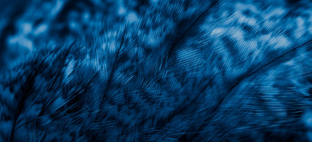blue feathers of the owl with visible details