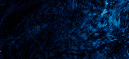 blue feathers of the owl with visible detailsの写真素材