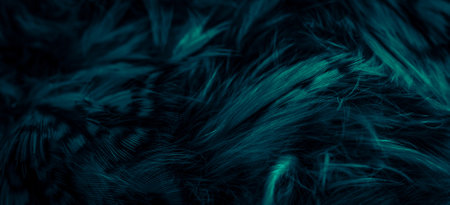 blue feathers of the owl with visible detailsの写真素材