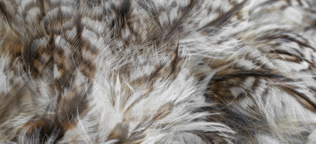 white and white feathers of the owl