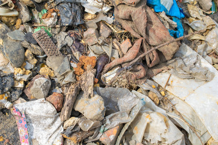wild garbage dump. residual glass, plastics in the forestの写真素材