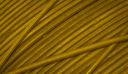gold copper wires with visible details. background or texture