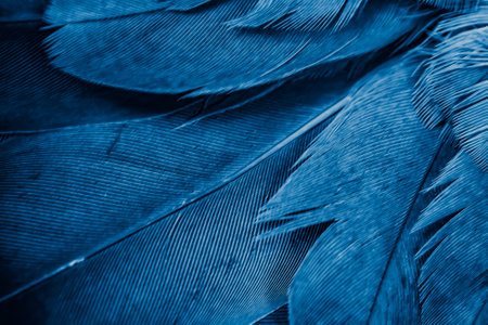 blue feather pigeon macro photo. texture or backgroundの写真素材