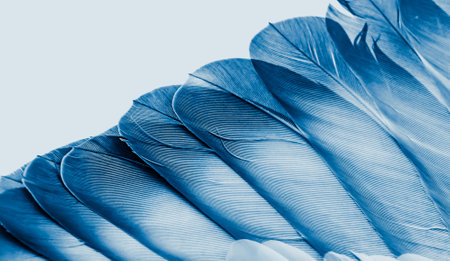 blue feather pigeon macro photo. texture or backgroundの写真素材