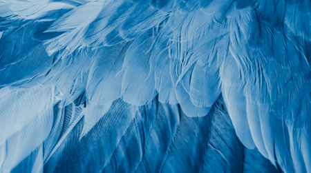 blue feather pigeon macro photo. texture or backgroundの写真素材