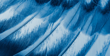blue feather pigeon macro photo. texture or backgroundの写真素材