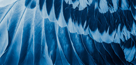 blue feather pigeon macro photo. texture or backgroundの写真素材