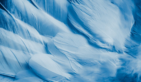 blue feather pigeon macro photo. texture or backgroundの写真素材