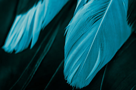 blue feather pigeon macro photo. texture or backgroundの写真素材