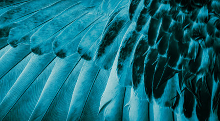 blue feather pigeon macro photo. texture or backgroundの写真素材