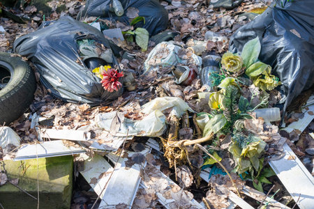 garbage thrown in the forest