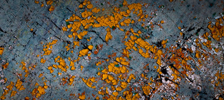wall painted with colorful old peeling paints