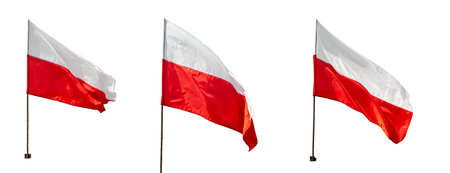 Poland flag on white isolated backgroundの写真素材