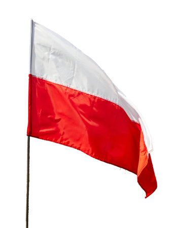 Poland flag on white isolated backgroundの写真素材