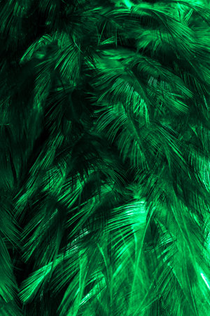 green rooster feathers. background or texture
