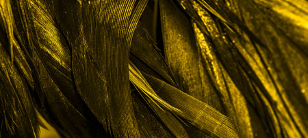 gold rooster feathers. background or texture