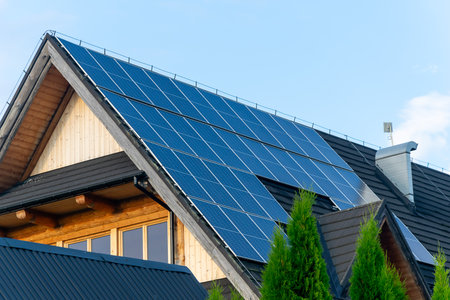 photovoltaic panels on a black tiled roof