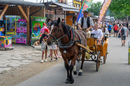 Zakopane, Poland - 12/07/2024 - horse drawn carriage on Zakopane Krupowki streetのeditorial素材