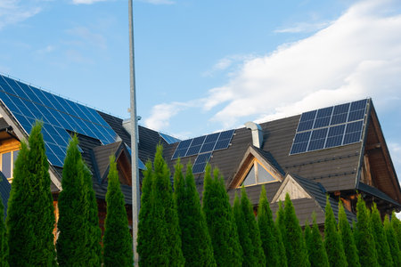 photovoltaic panels on a black roof at sunset