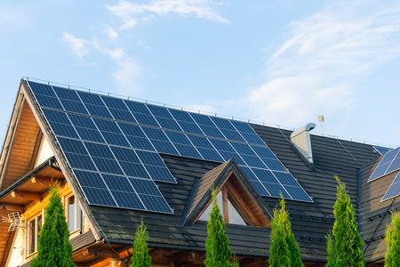 photovoltaic panels on a black roof at sunset