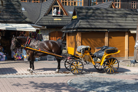 Zakopane, Poland - 12/07/2024 - horse drawn carriage on Zakopane Krupowki streetのeditorial素材
