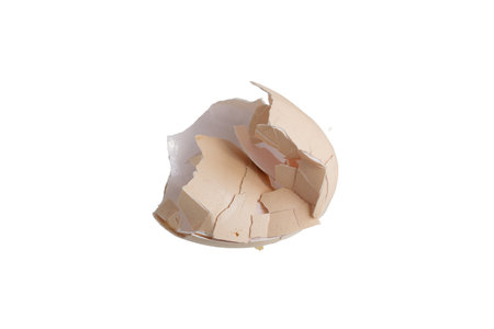 cracked hen eggshell on white background