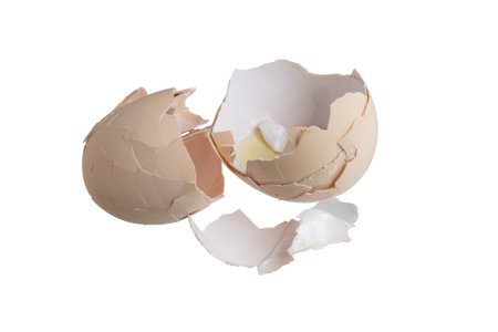 cracked hen eggshell on white background