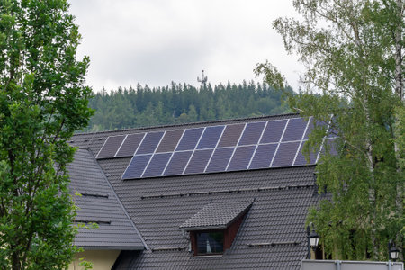 photovoltaic panels on the roof
