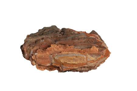 isolated pieces of pine bark