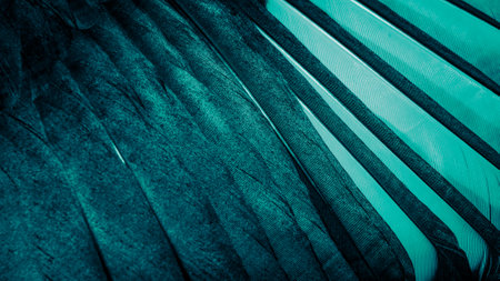 blue bird feathers.background or textureの写真素材